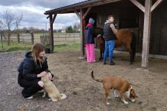 STAJNIA-w-Wojciechowie-1