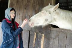 STAJNIA-w-Wojciechowie-13