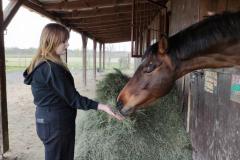 STAJNIA-w-Wojciechowie-14