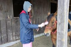 STAJNIA-w-Wojciechowie-2