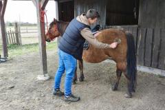 STAJNIA-w-Wojciechowie-5