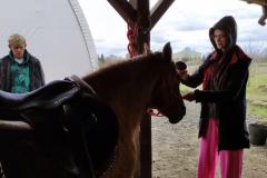 STAJNIA-w-Wojciechowie-6