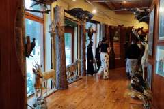 HP-Chelm-10-lutego-10