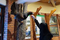 HP-Chelm-10-lutego-11