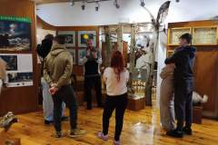 HP-Chelm-10-lutego-13