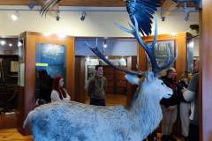 HP-Chelm-10-lutego-3