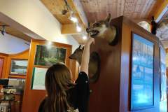 HP-Chelm-10-lutego-7