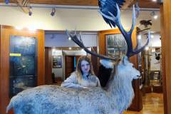 HP-Chelm-10-lutego-8