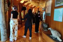 HP-Chelm-10-lutego-9